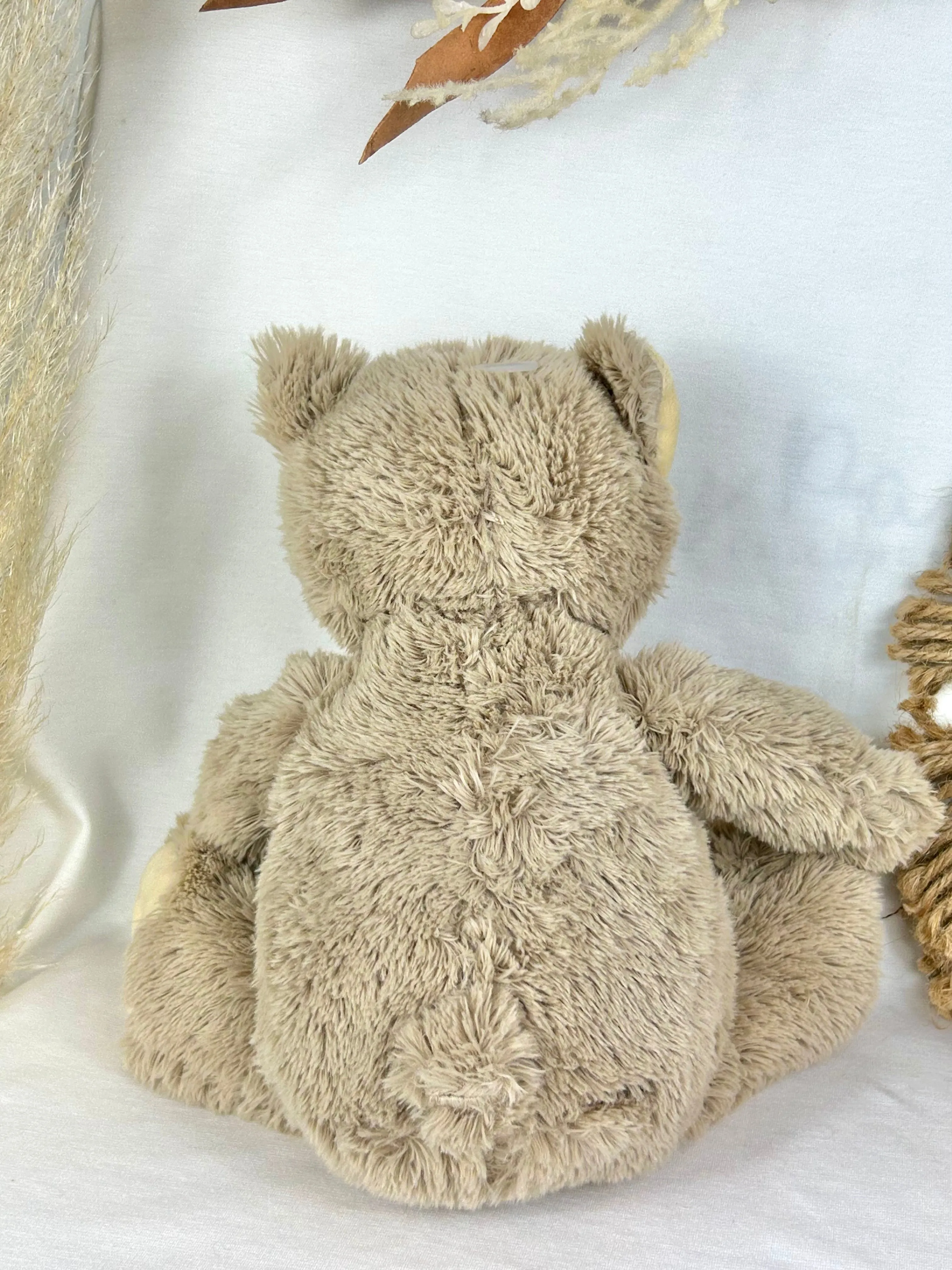 Bella The Bear
